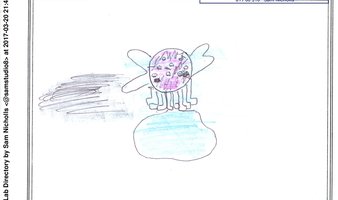 Super Squid