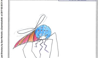 Insectum Luminous