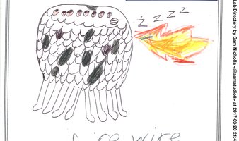 Firewire