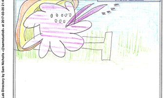 My Favourite Crab 1 (MFC1)