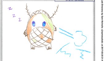 Turtle Bug