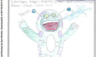 The Lazy Frog Faced Thing