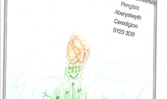 Tiny 8
